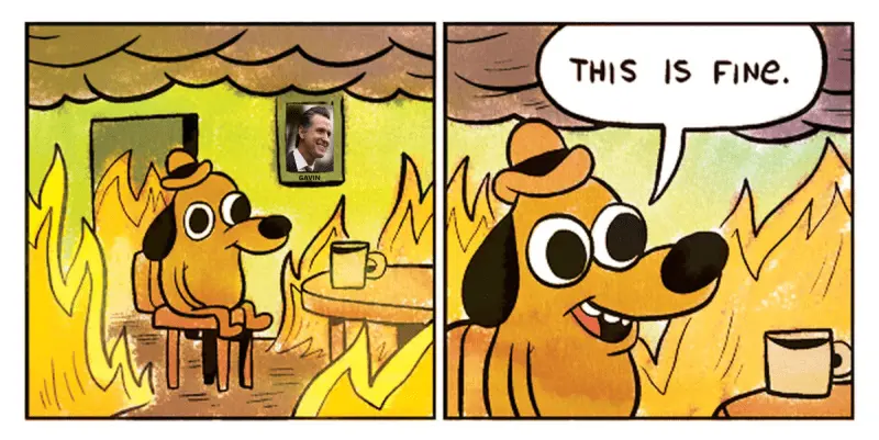 Meme-ThisIsFine-GavinNewsom800x401.webp