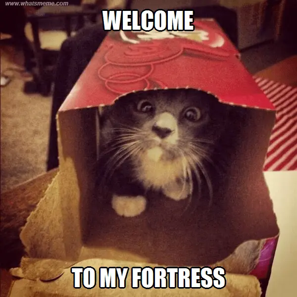 meme_23[1].webp