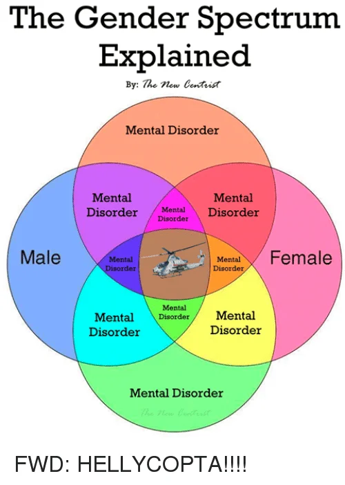 MentalDisorder.webp