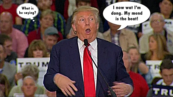 MentallyinsaneTrump.webp
