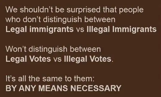 message-shouldnt-be-suprised-party-no-difference-legal-illegal-immigrants-votes.webp