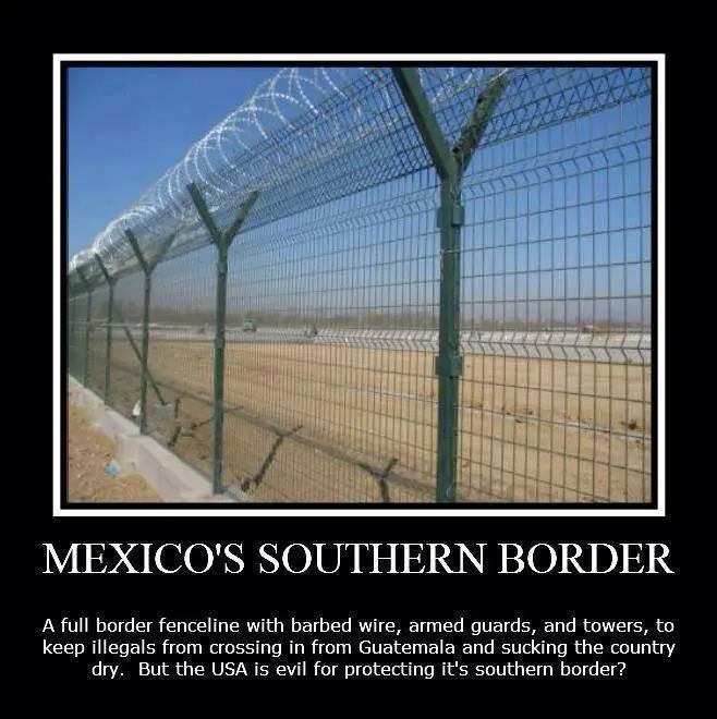 Mexico fence meme.webp