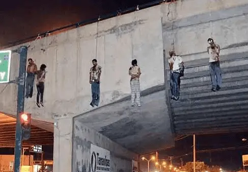 mexicogangscratels.webp