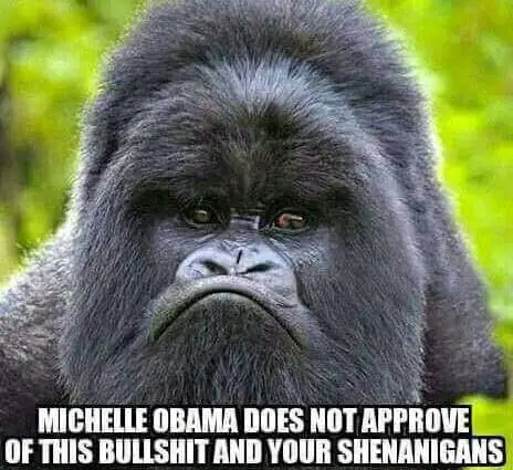michelenotapprove.webp