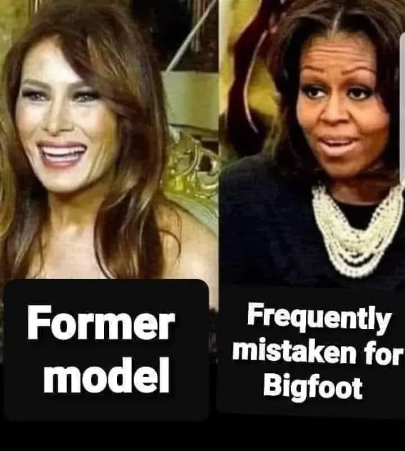 michelle mistaken for bigfoot.webp