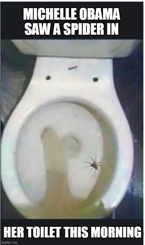 michelle spider.webp