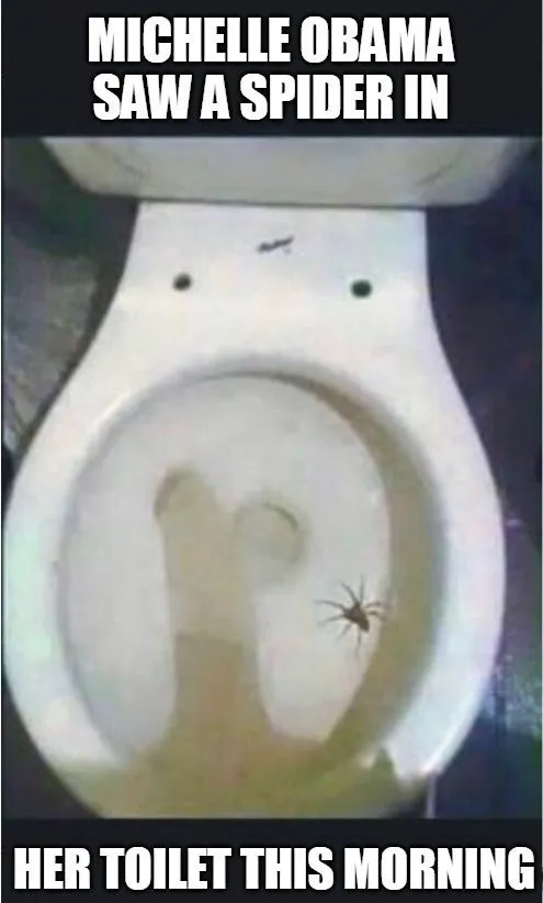 michelle spider.webp