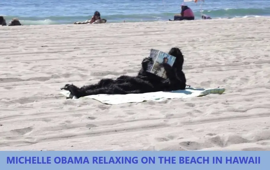 michelleobamaatthebeachinhawaii.webp