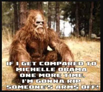 michelleobamalkaljljaldjadj.webp