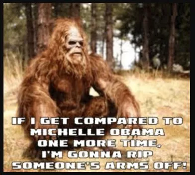 michelleobamalkaljljaldjadj.webp