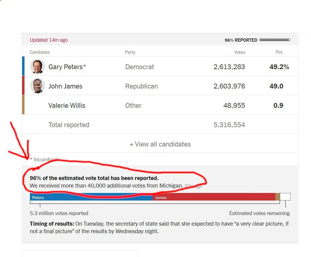 Michigan Senate Race.webp
