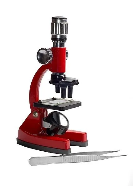 Microscope and tweezers.webp