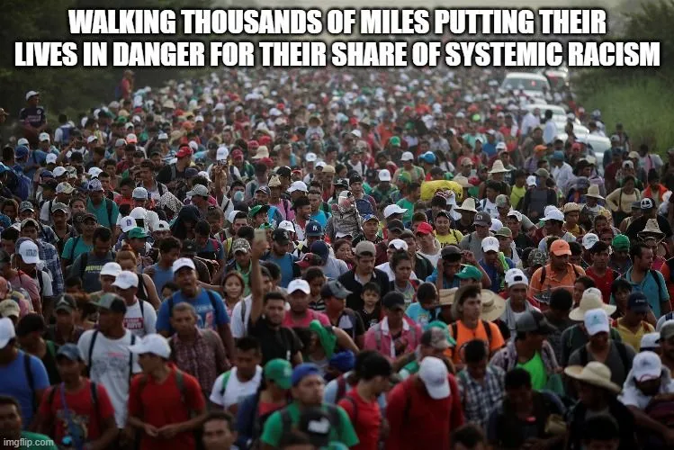 Migrants.webp