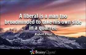 mind of a liberal.webp