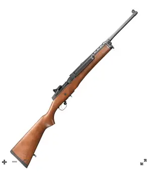 Mini 14.webp