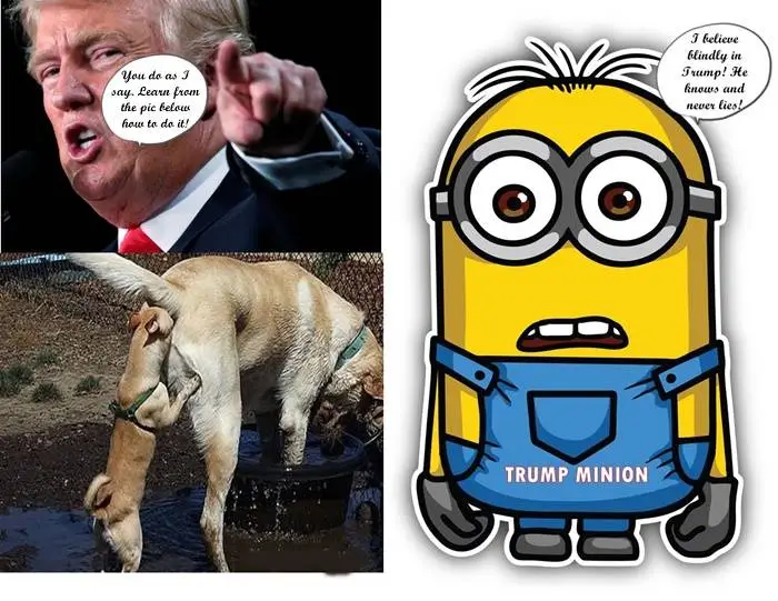 Minionkissingtrumpsass.webp