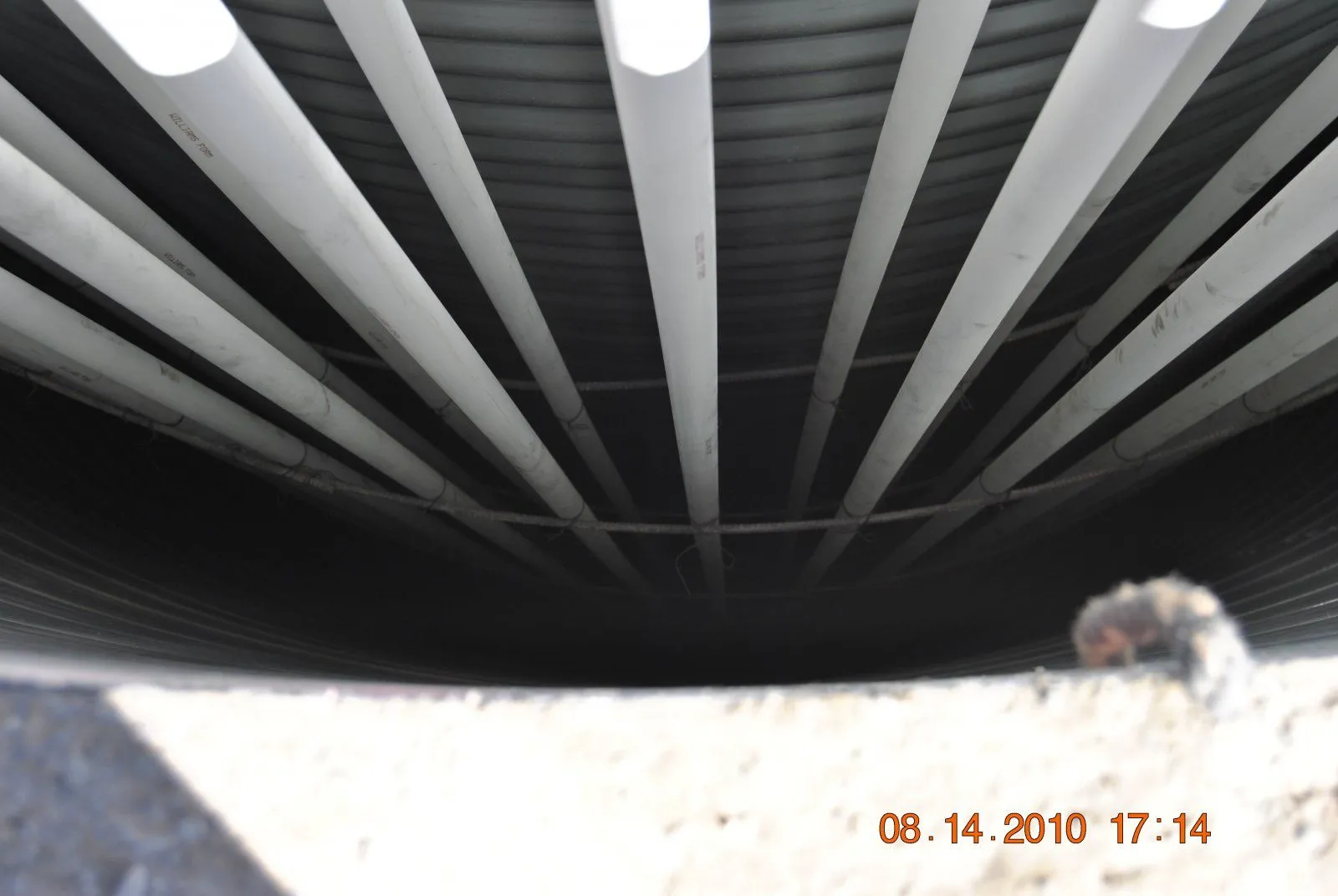 misc 187.webp