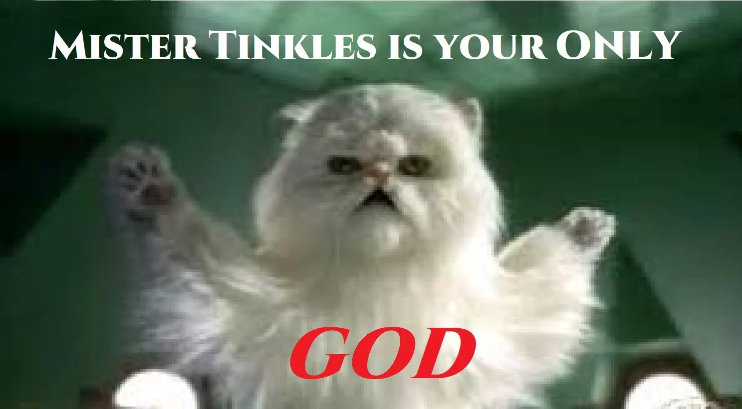 Mister Tinkles is your only God.webp
