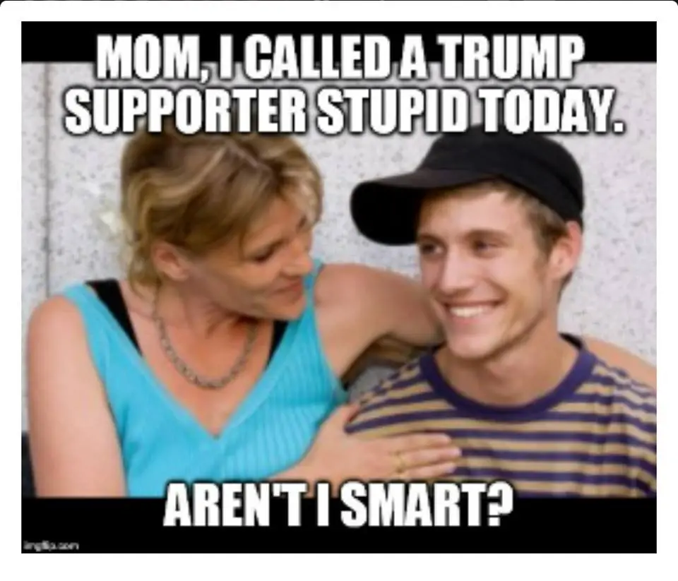 MommyImSmart.webp