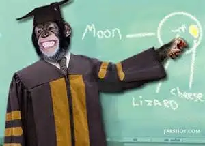 Monkey teacher.webp