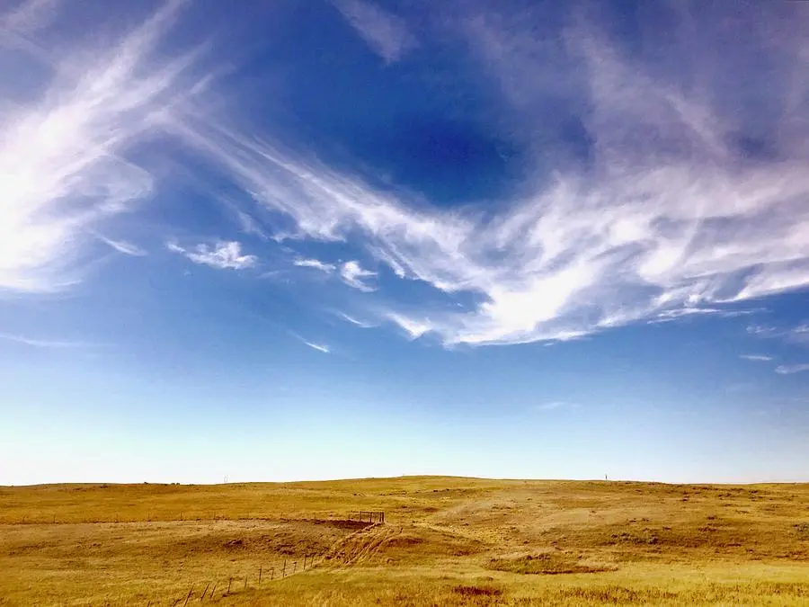 montana-big-sky-country-lexi-heft.webp