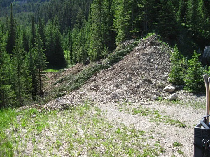 moose creek.webp