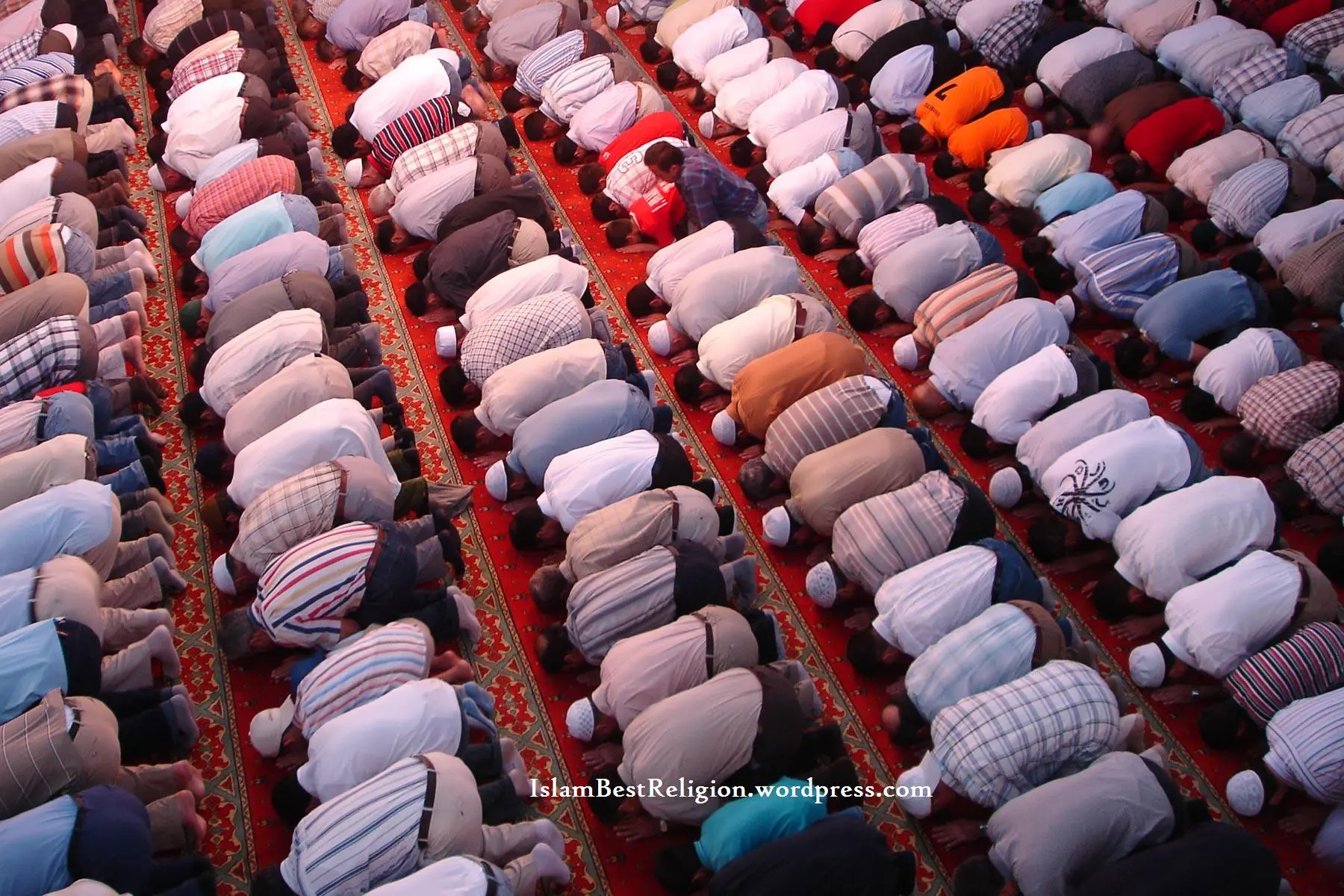 mosque-prayer.webp