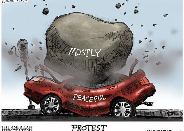 Mostly_Peaceful_Spectator_Small20200803010417.webp