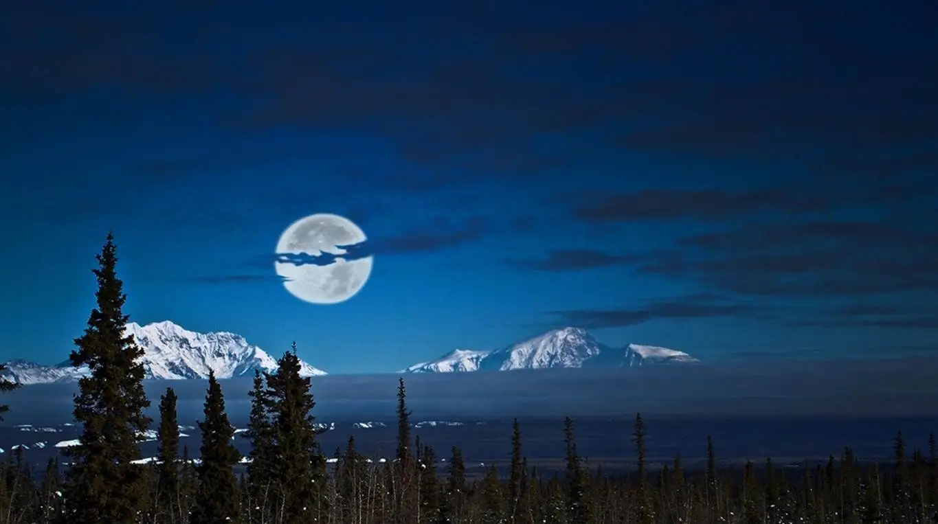 Mountain forest night.webp