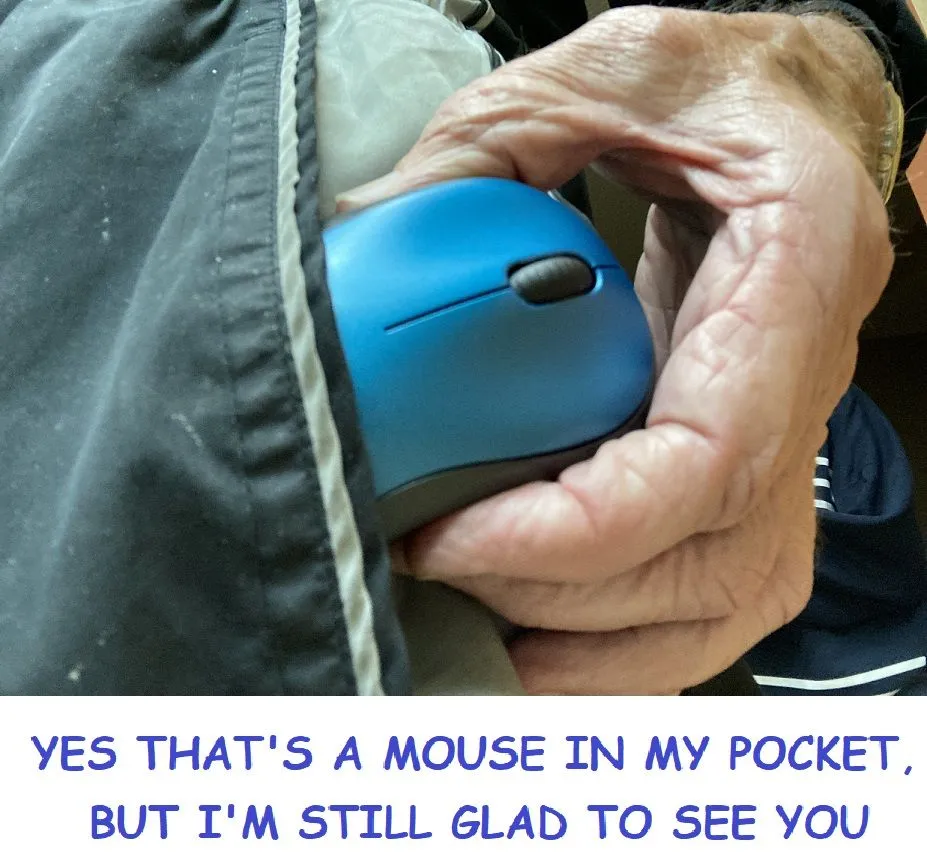 Mouse in my pocket.webp