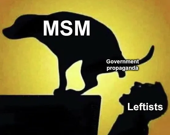 msm shit.webp