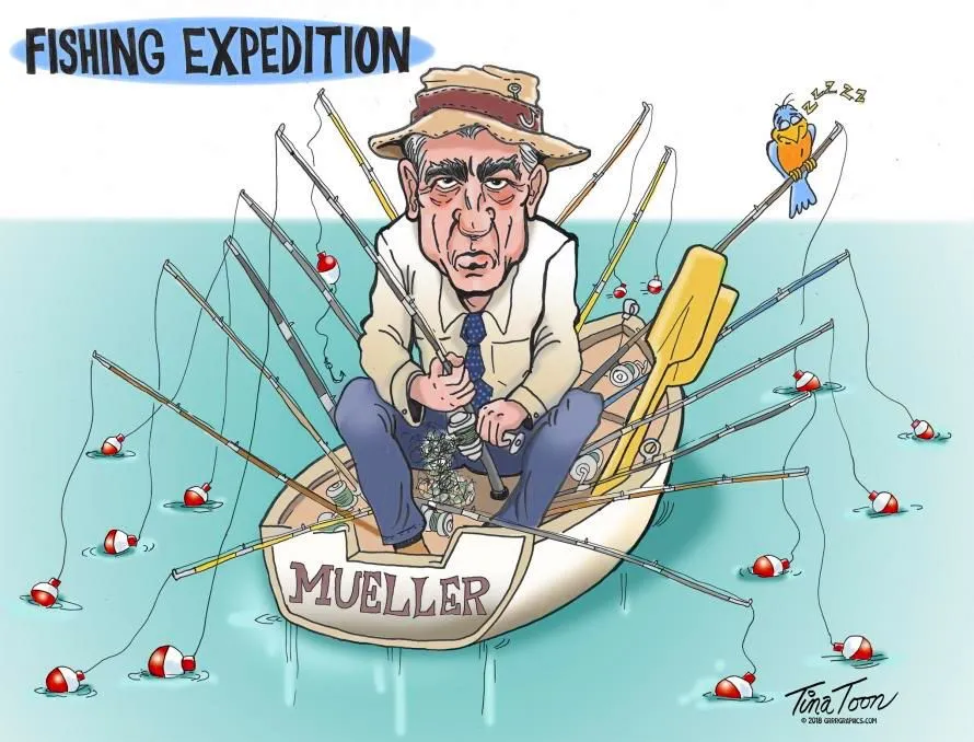mueller-fishing-tina-toon.webp
