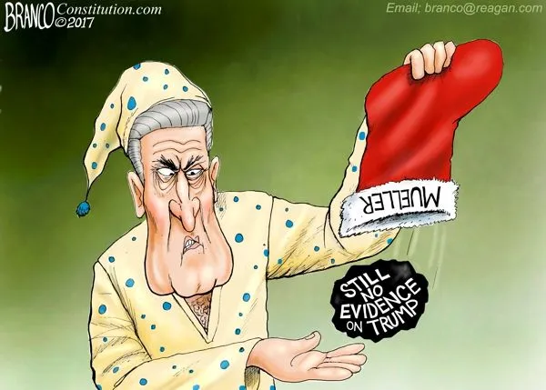 mueller-stocking.webp