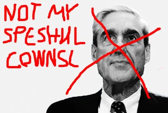 mueller1.webp