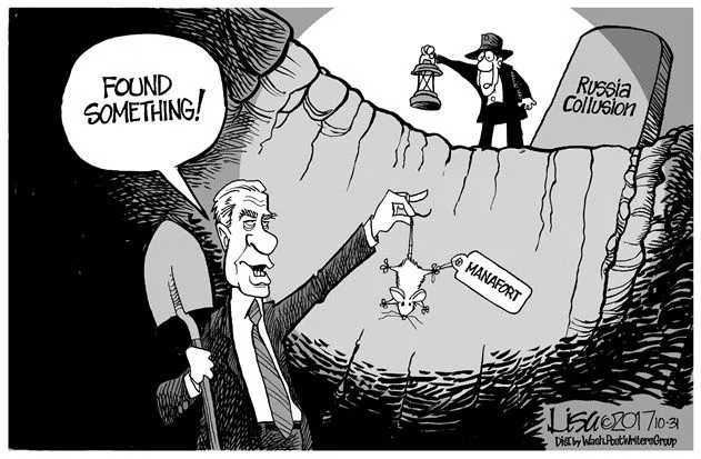 mueller324567.webp