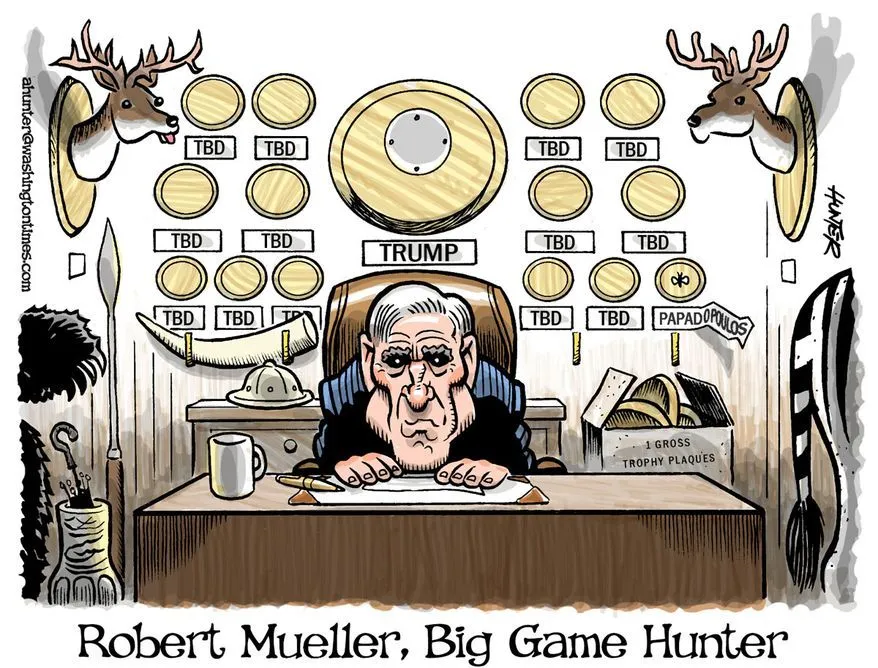 muellergametrophyssdjghsd.webp