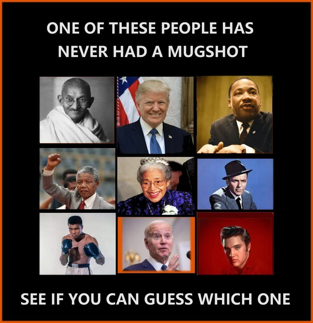 MUGSHOT.webp