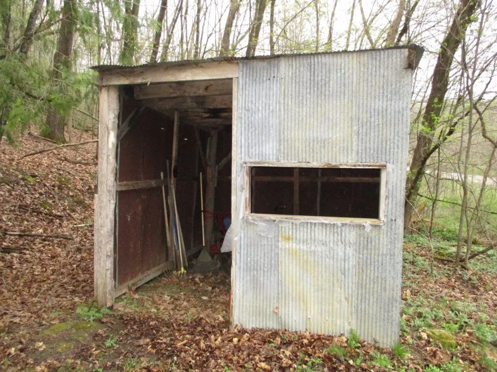 mule shed.webp