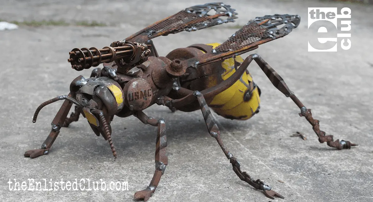 Murder-Hornet-Imag.webp