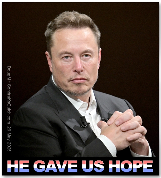 MUSK HOPE.webp