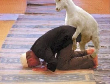 muslim-attack-goat.webp