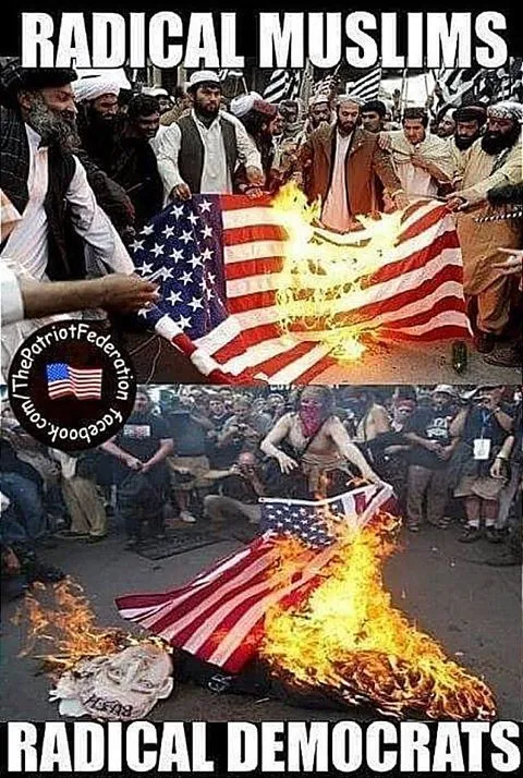 muslim radicals and radical democrats.webp