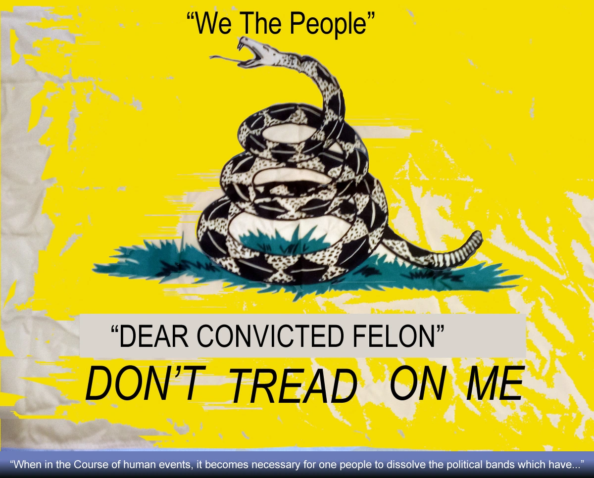 my don't tread on me convicted felon.webp