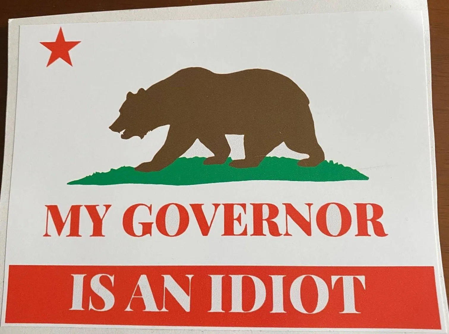 My governor is an idiot.webp