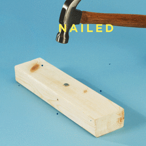nailed.gif