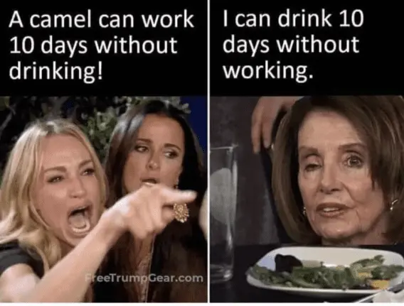 nancy can drink.webp