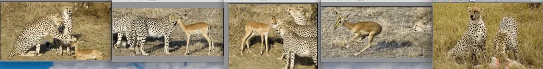 Nature.webp