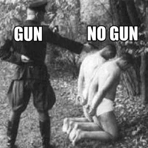 nazi_guncontrol.webp