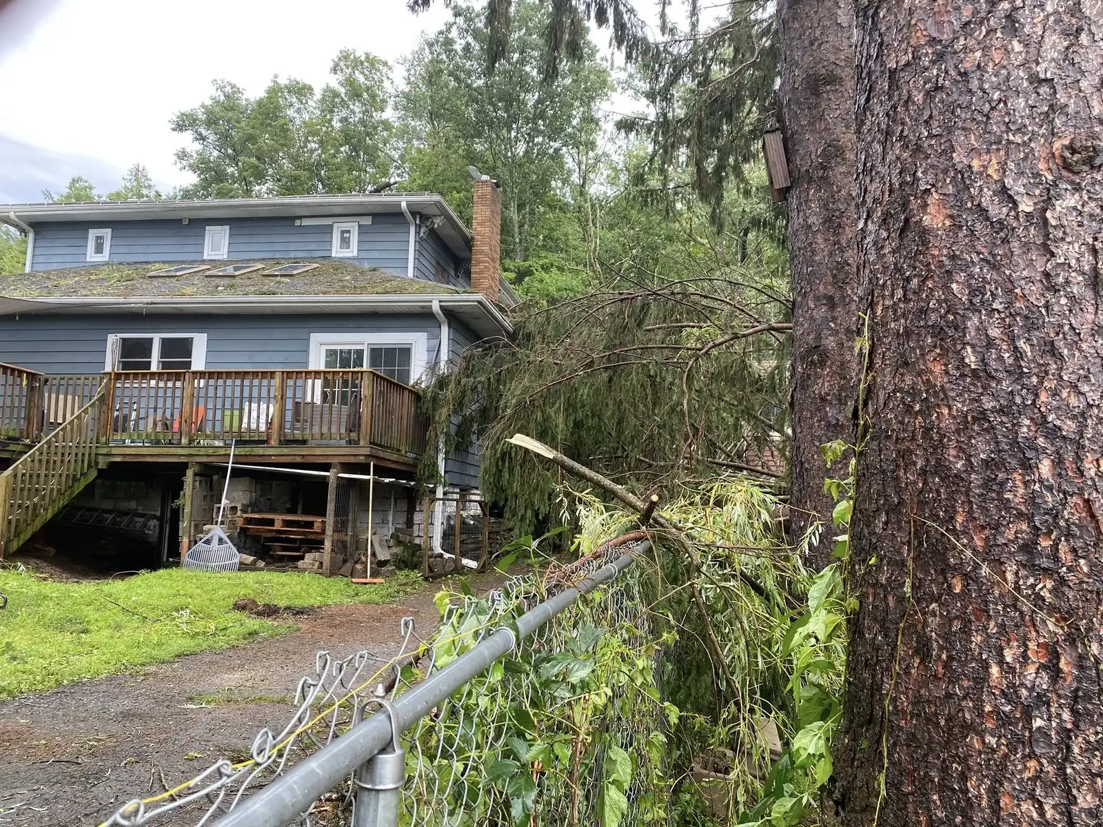 neigbors driveway.webp