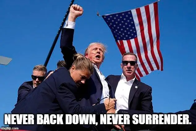 never-back-down-jpg.976530